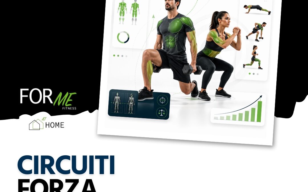 Circuito Forza At Home